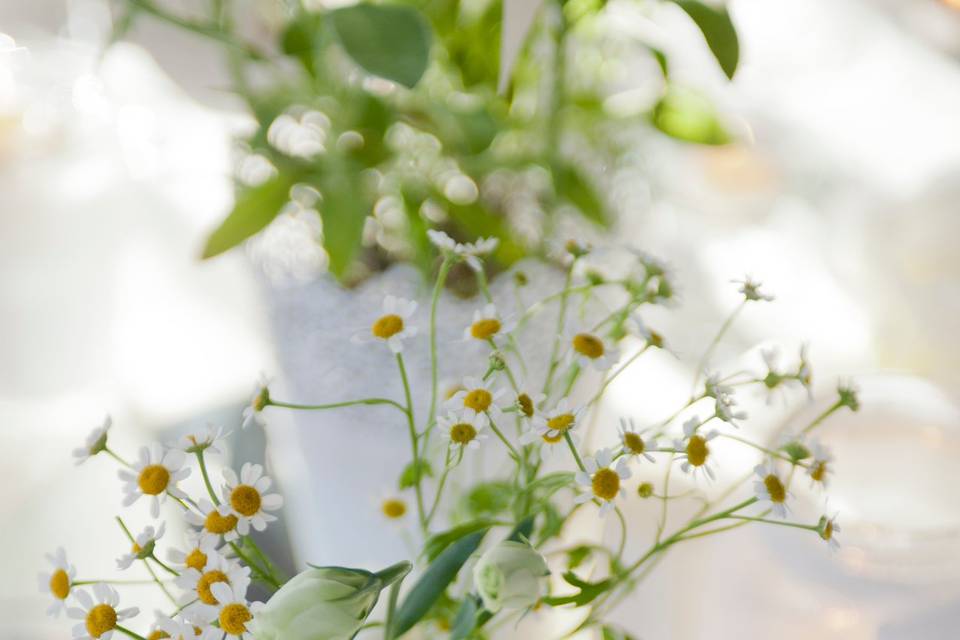 Fiori di campo e camomilla