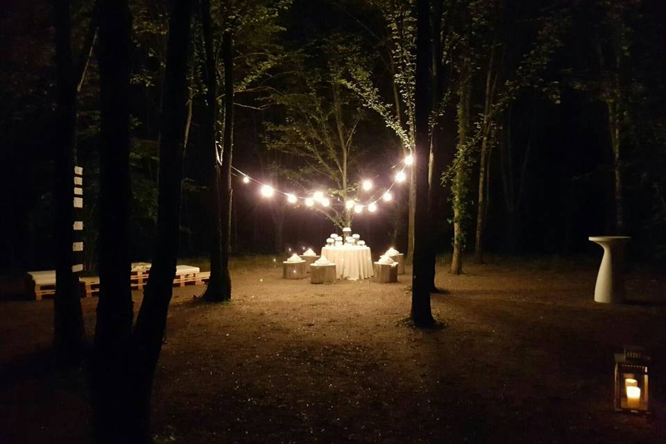 Taglio torta nel bosco