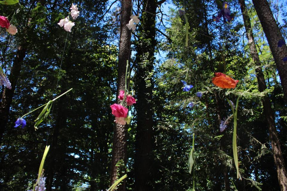 54 tenda di fiori