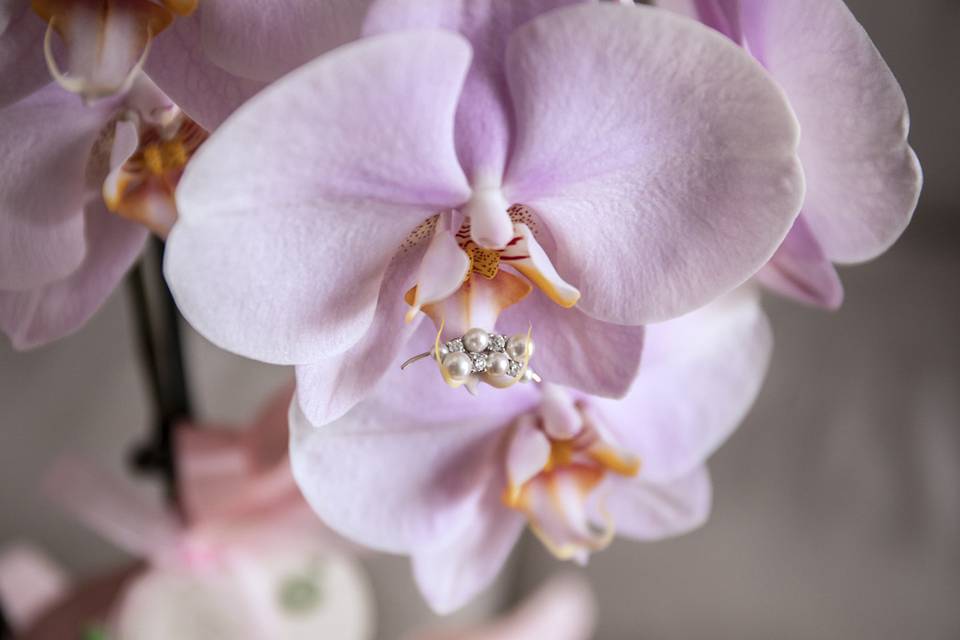 Matrimonio_Foto_Firenze