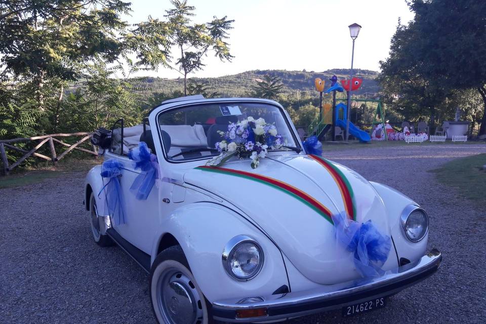 Vw Maggiolone