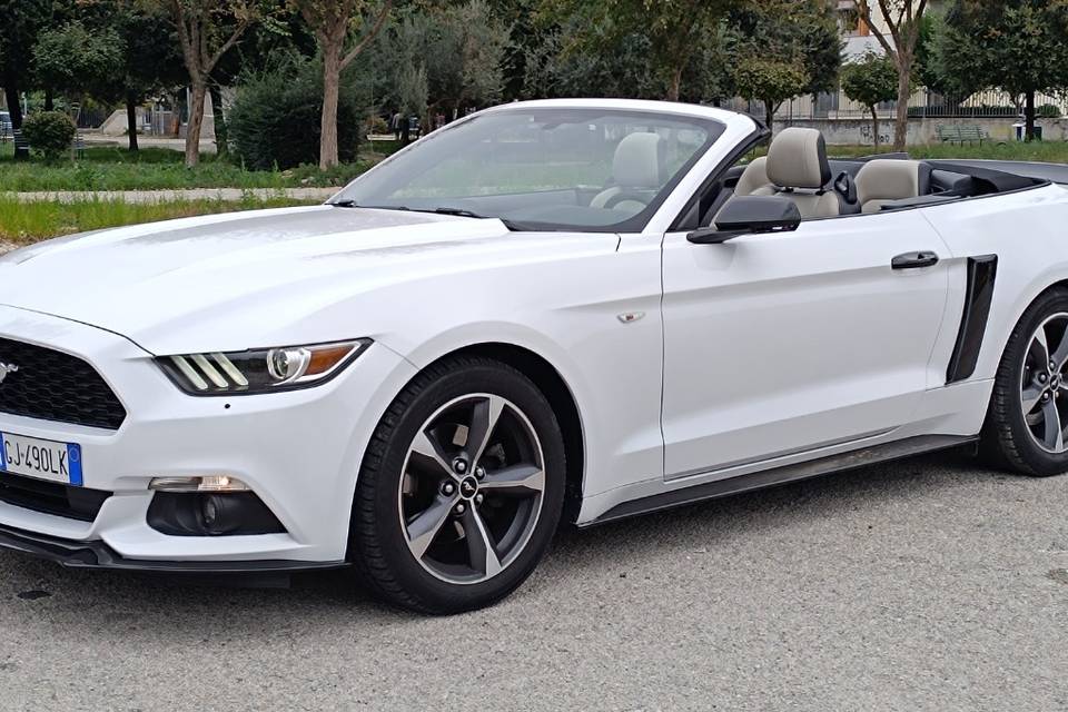 Mustang