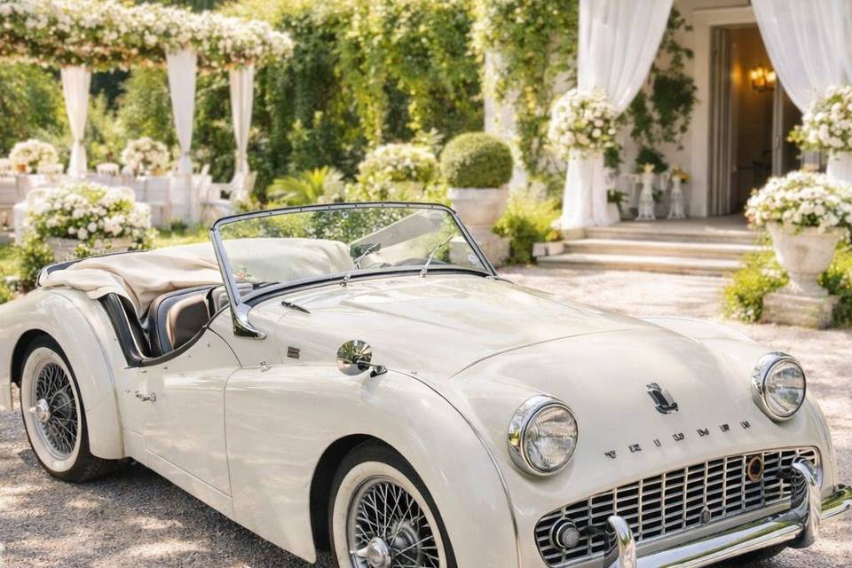 Triumph TR3