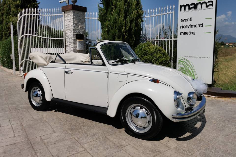 Maggiolino cabrio bianco