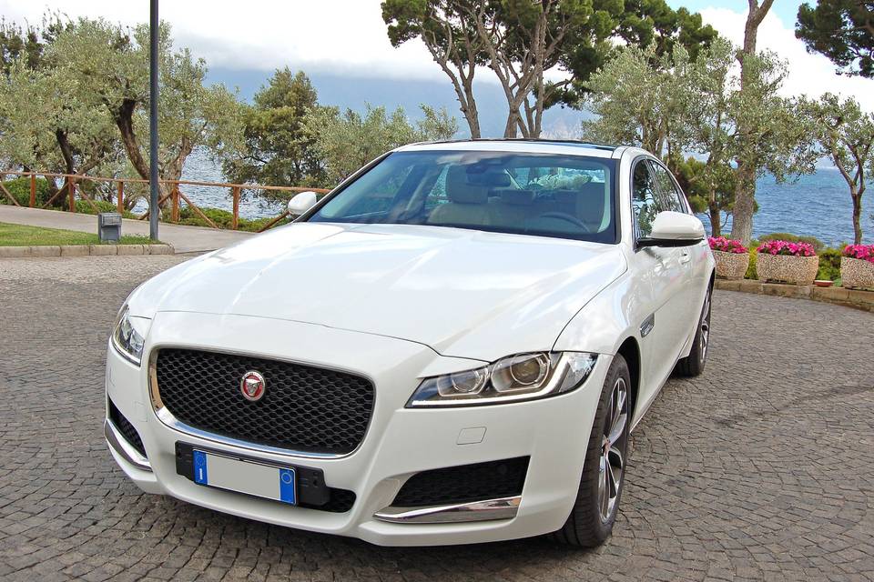 Jaguar xf bianco nuova serie