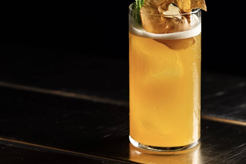 Presentazione Cocktail