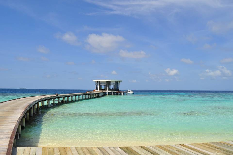 Maldive