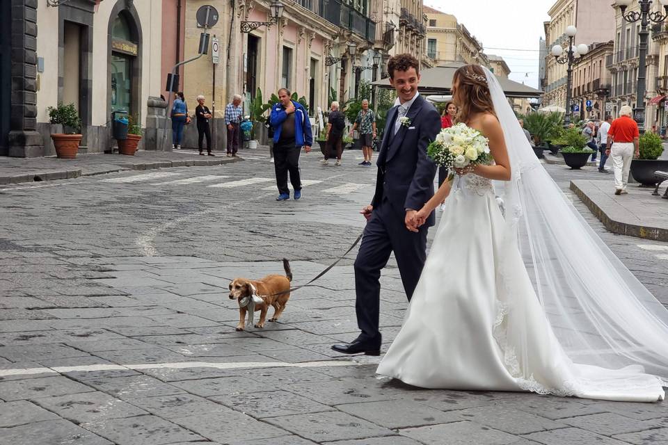 Lulù in giro per Acireale