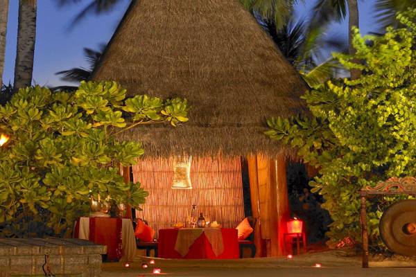 Reggaenition Travel Maldive