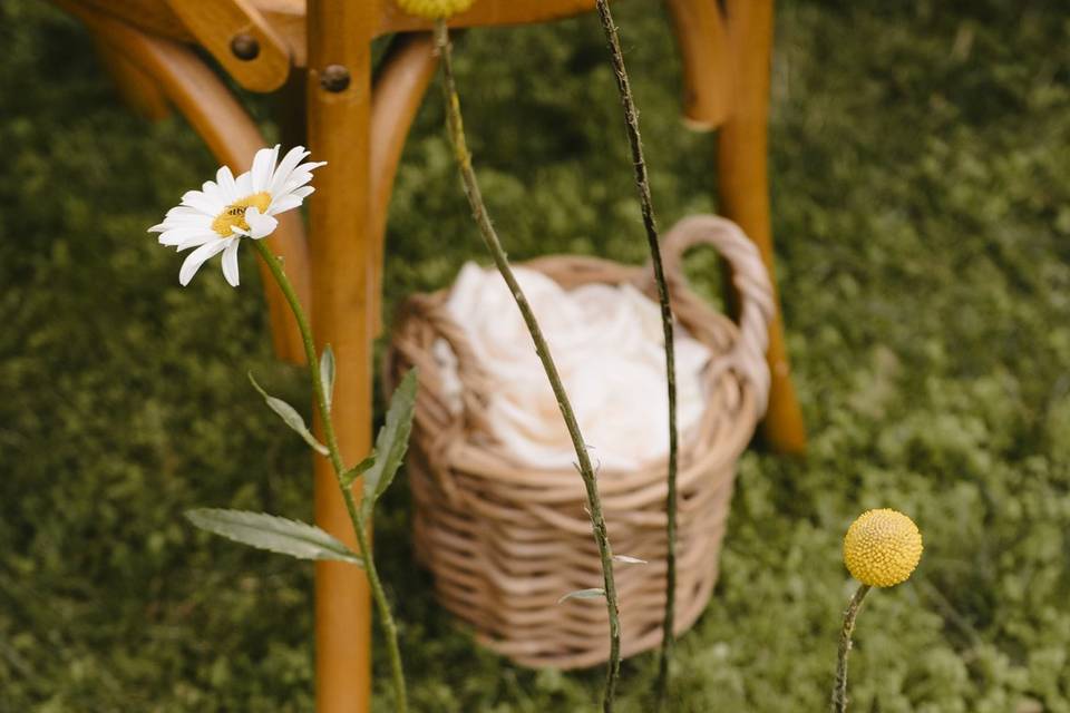 Riro civile