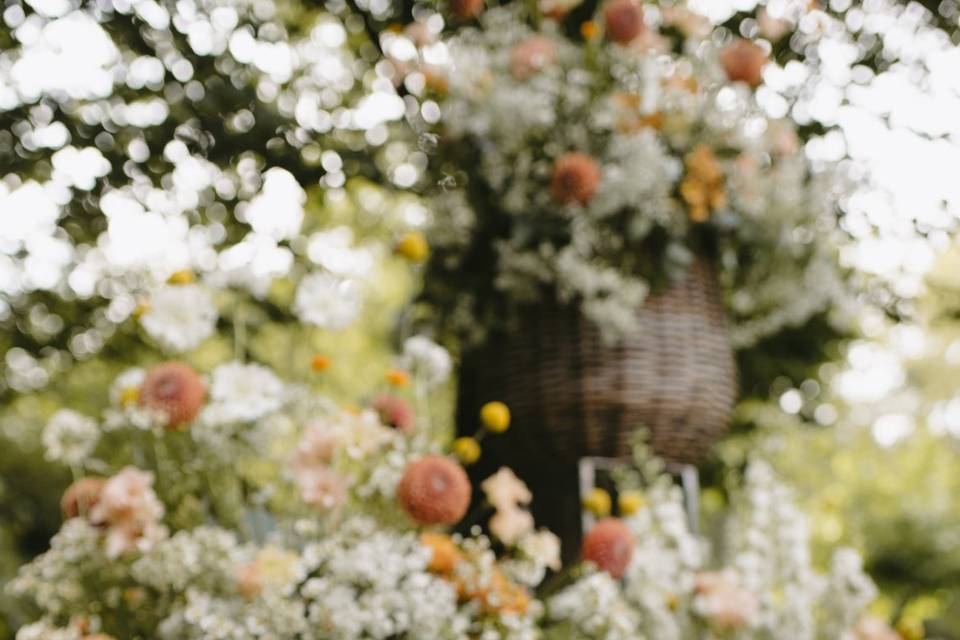 Fiori di campo