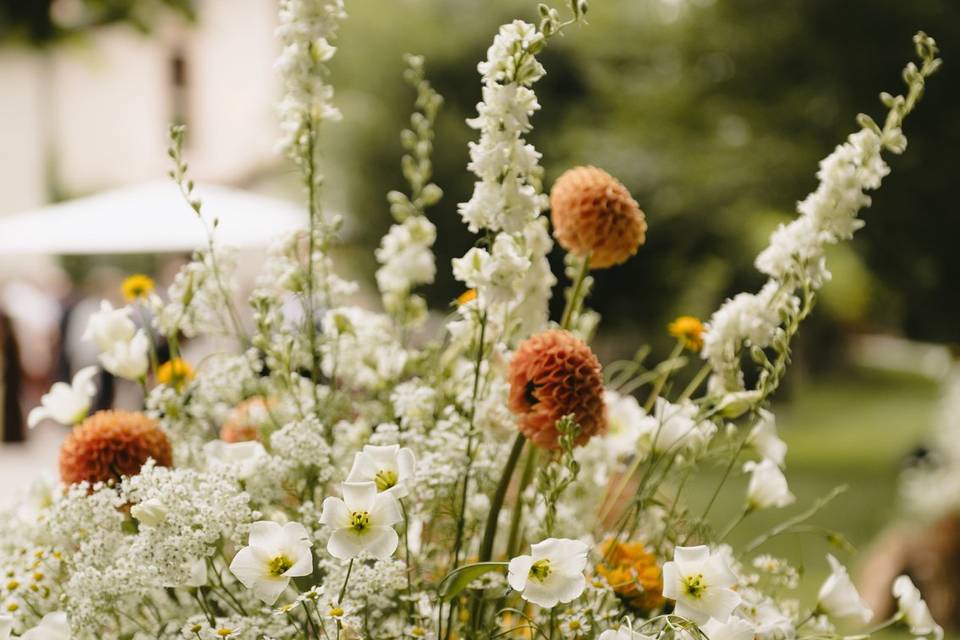 Fiori di campo