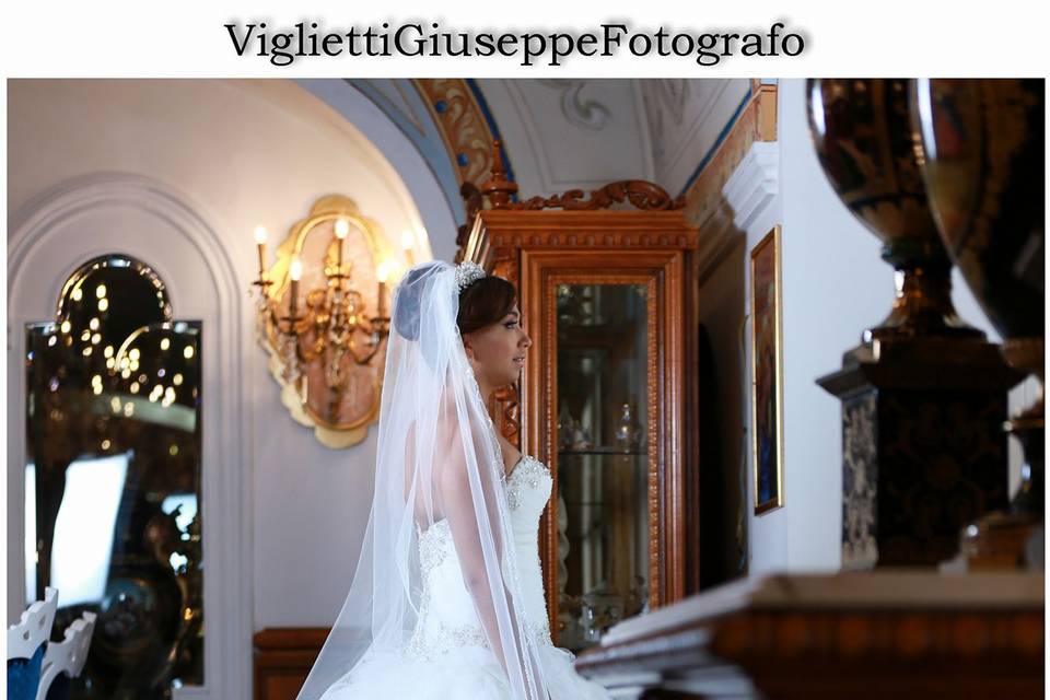 Viglietti Group