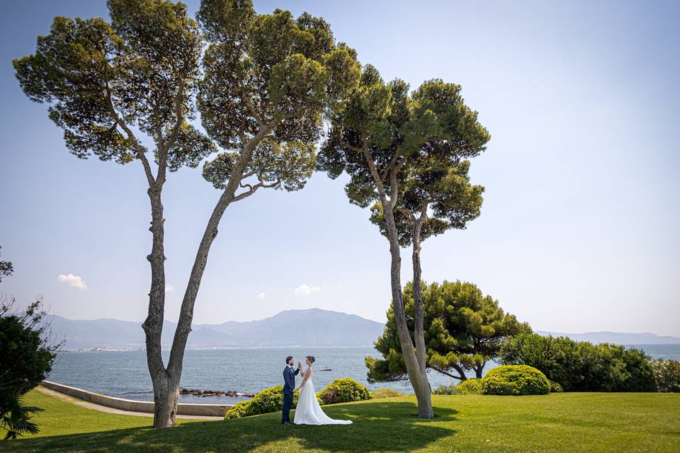 Viglietti group