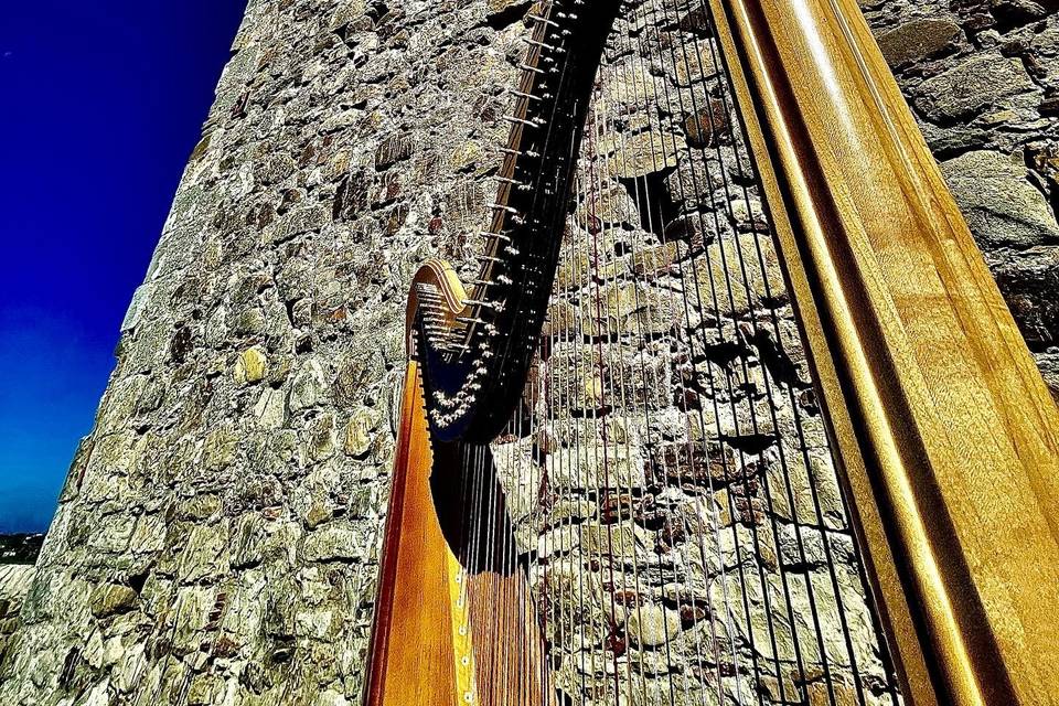 Castello Ducale di Bisaccia