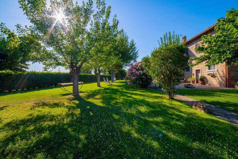 Giardino