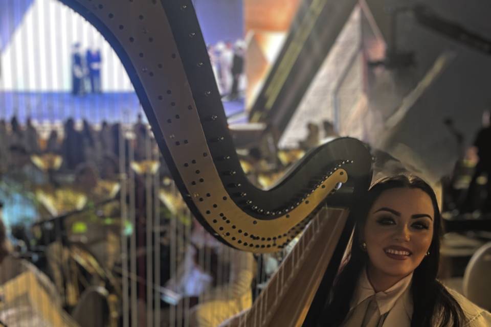 Giusy Papaccio Arpa per eventi