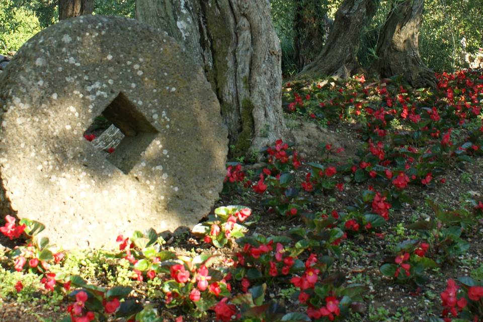 Il Parco Giardino