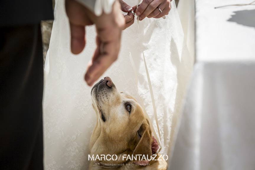 Fotografo Matrimonio a Siena