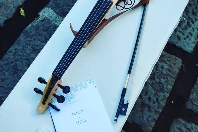 Violino elettrico