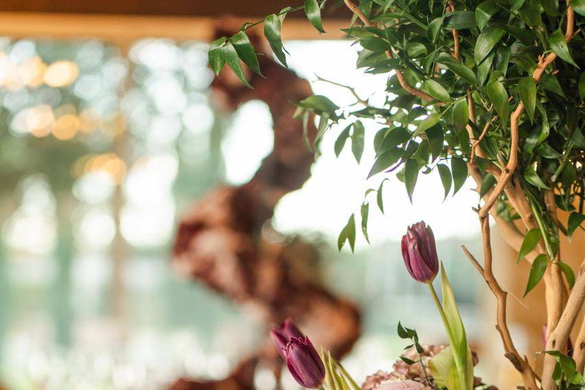 Mise en place a Tenuta Fabiana