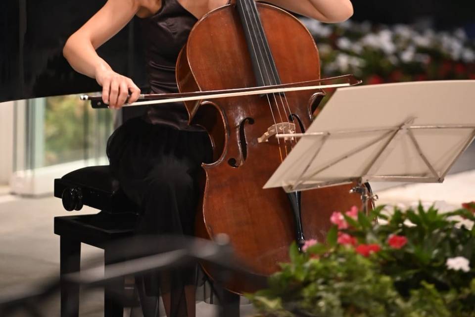 Violoncello