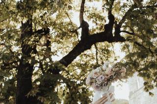 Cosimo Stassano Photographer