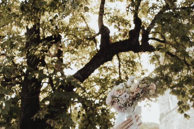 Cosimo Stassano Photographer