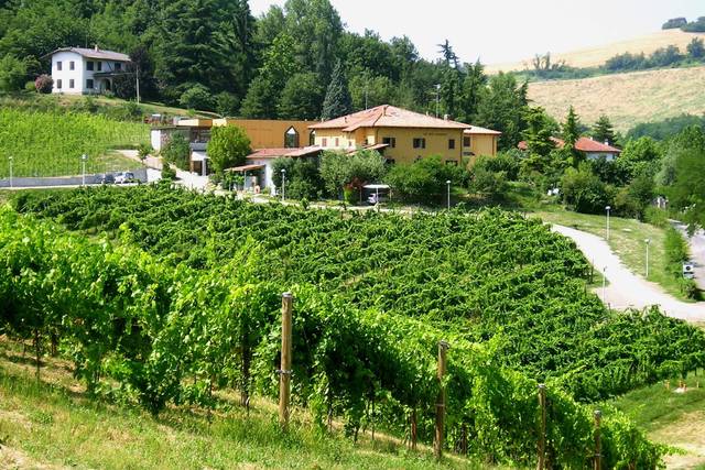 Agriturismo Borgo delle Vigne