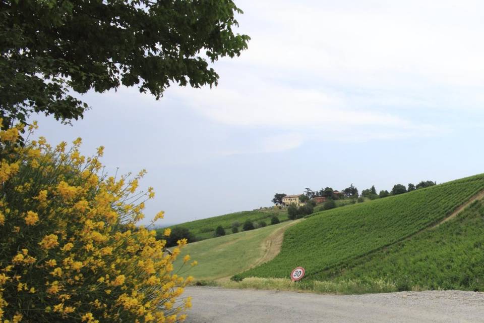 Agriturismo Borgo delle Vigne
