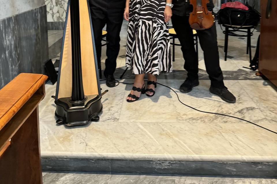 Arpa e violino