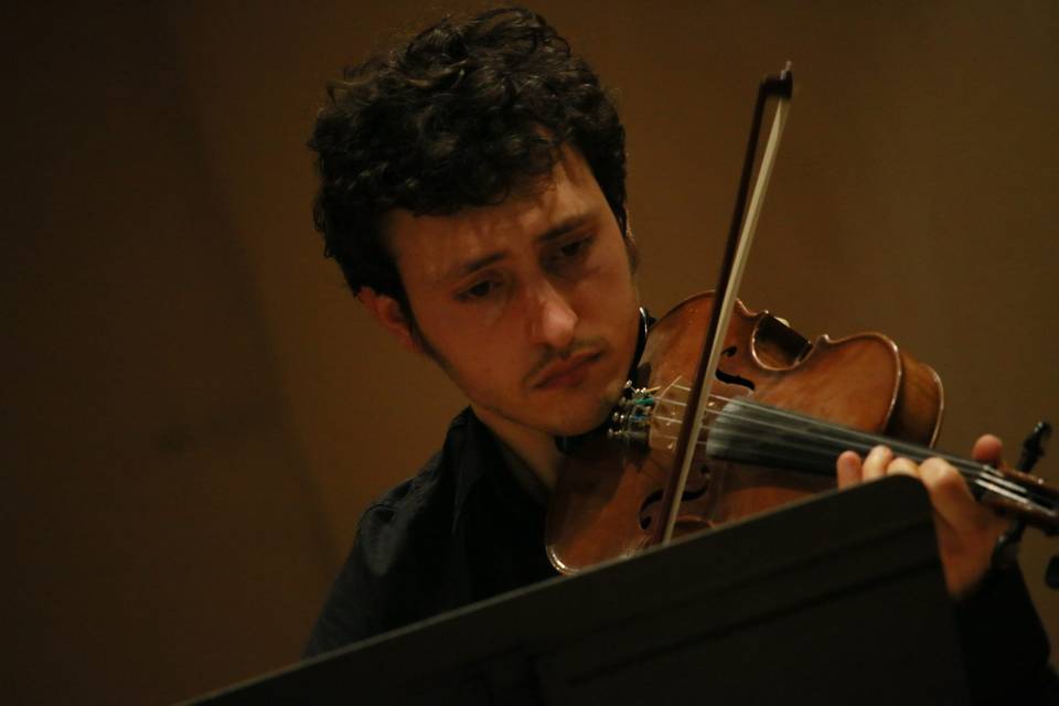 Samuele, viola