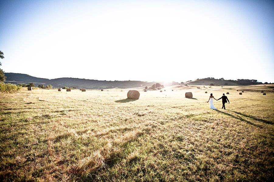 Campo di grano