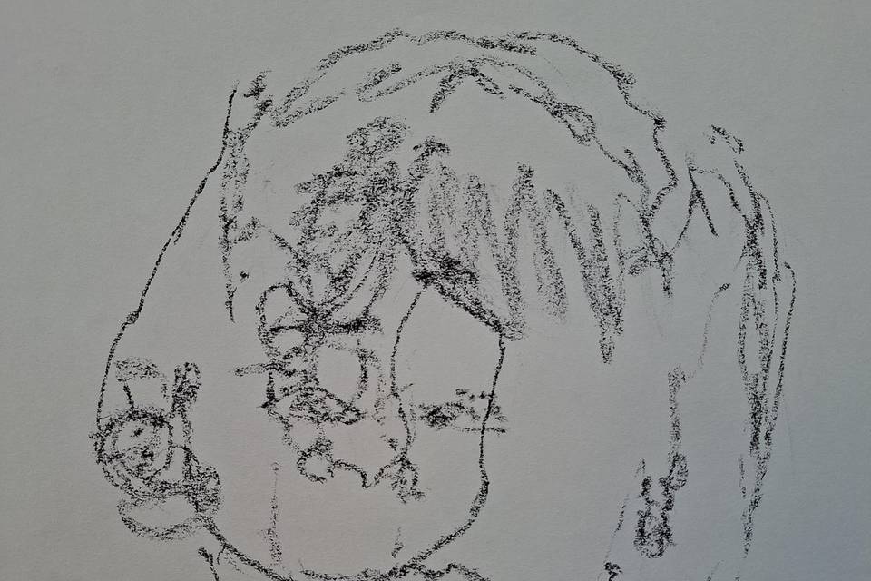 Colafrancesco Arte