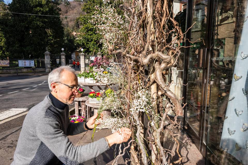 Allestimento_rami_vetrina_esterna