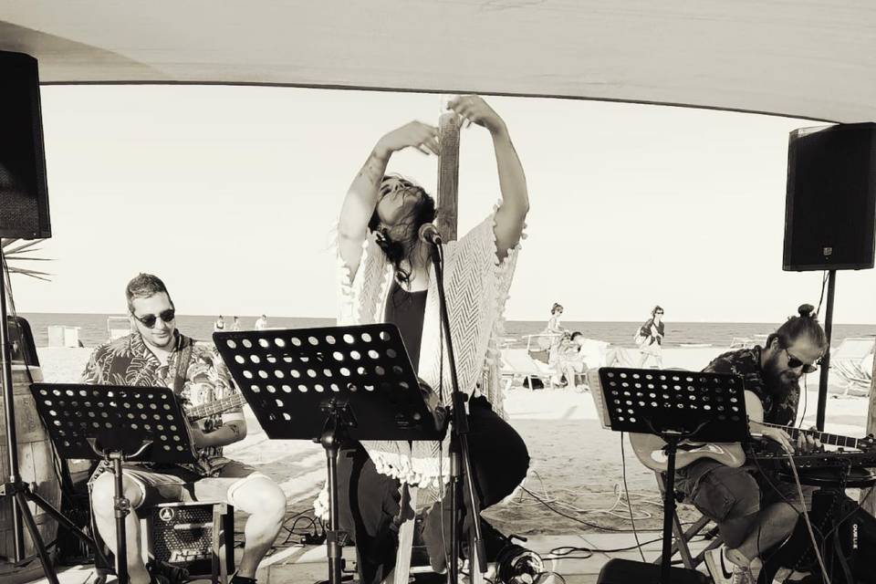 Live in trio
