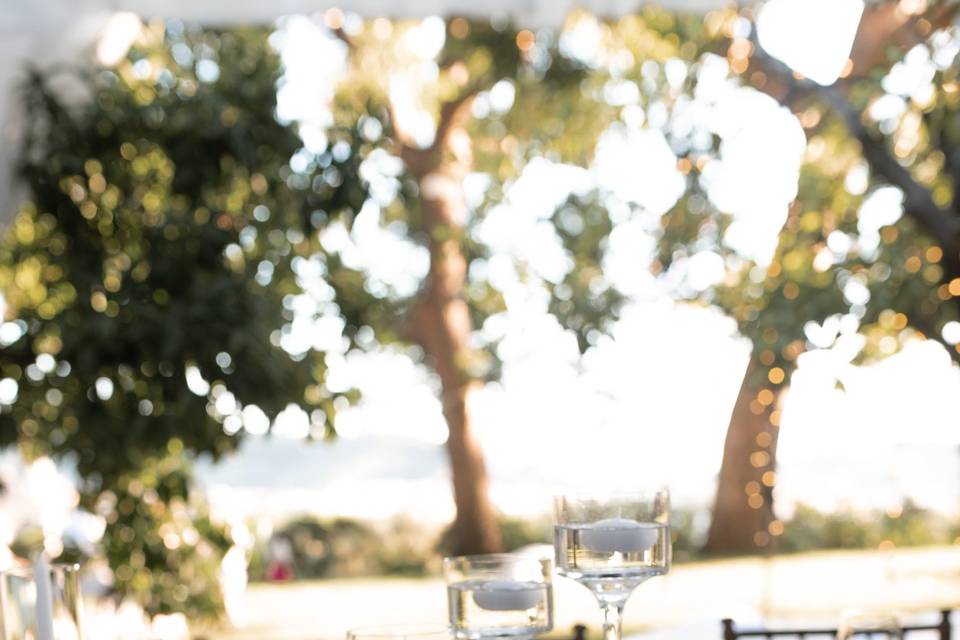 Pranzo sotto il gazebo