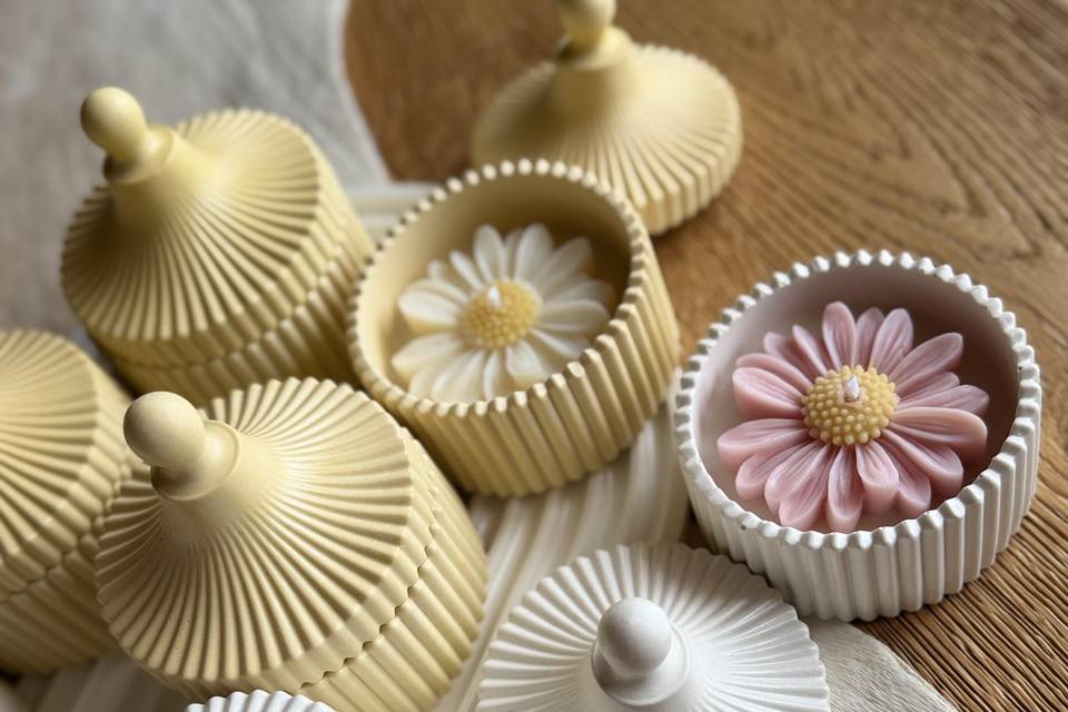 Candele Daisy