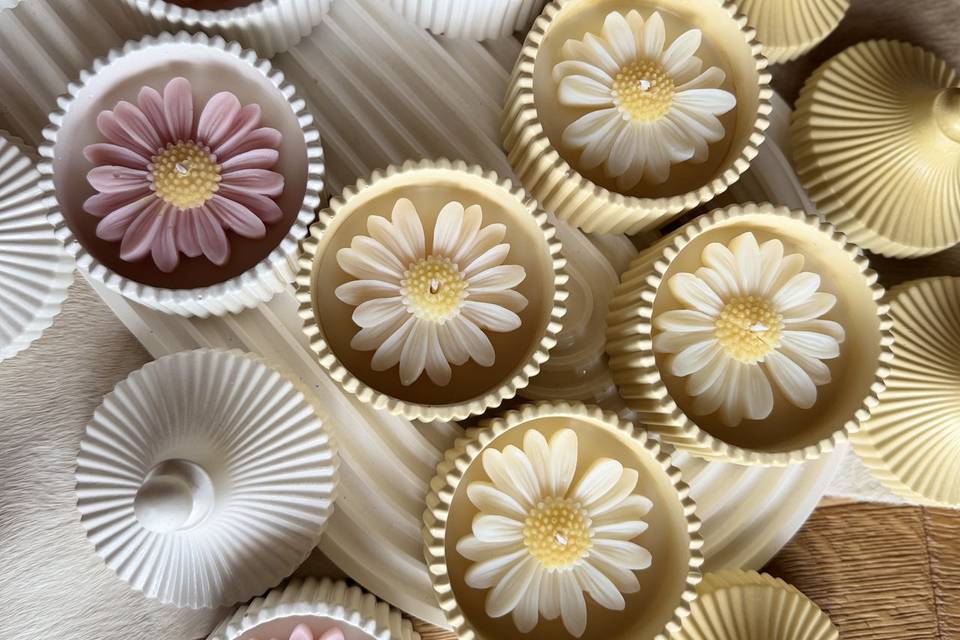 Candele Daisy