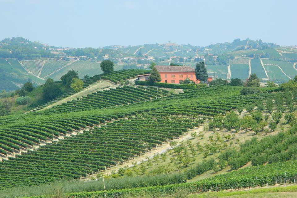 La Moresca e vigneti