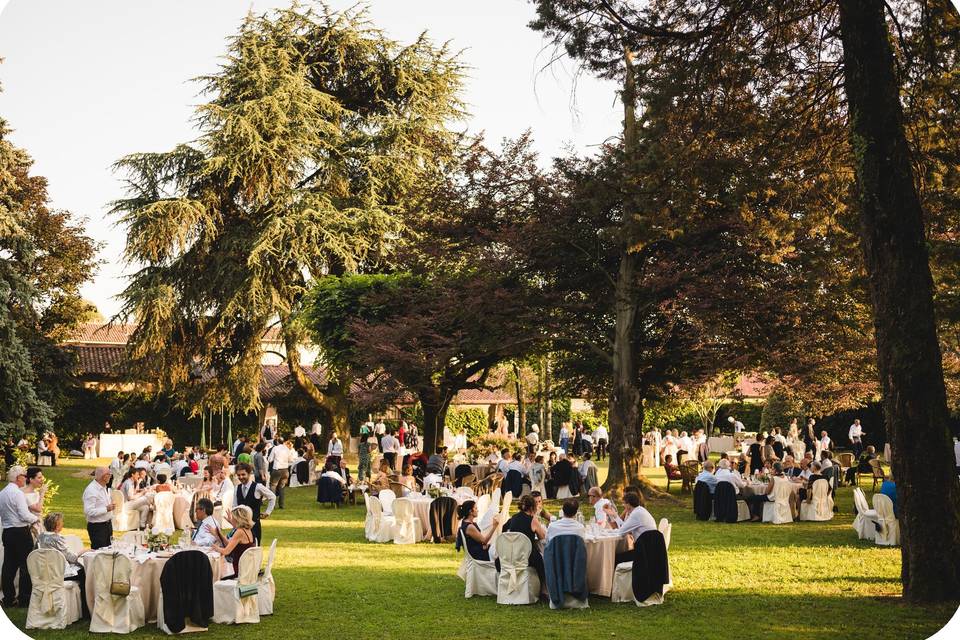 L'Azienda Agricola Scotti