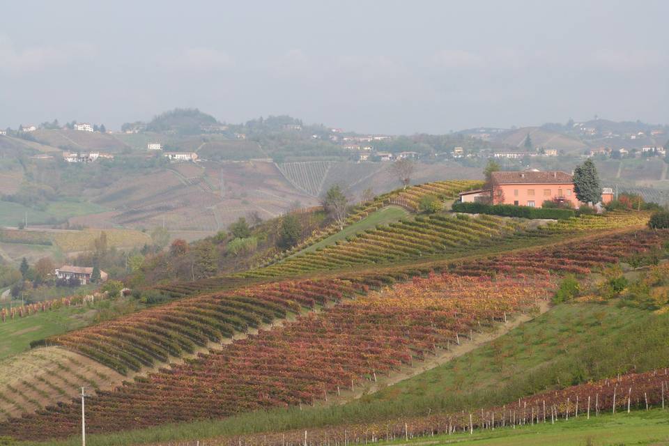 Vigneti in autunno