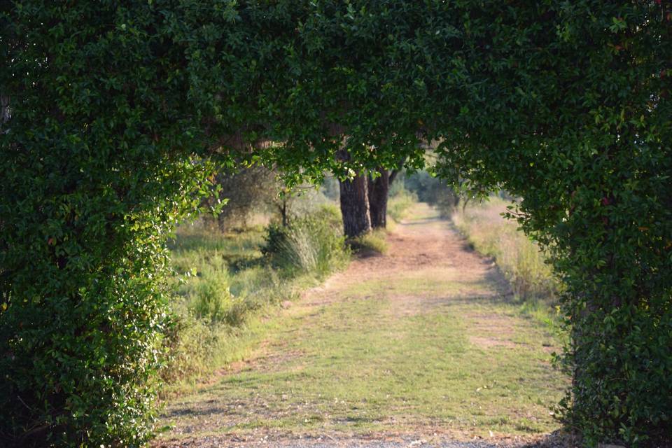 La porta verso la campagna