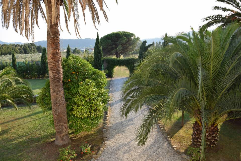 Giardino