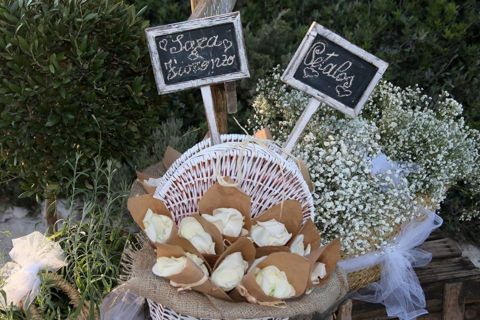 Your Beach Wedding