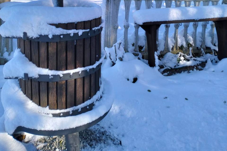 La neve