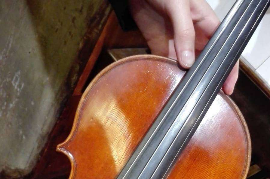 Violino