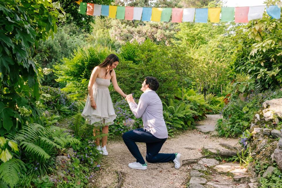 Wedding Proposal Lake Garda