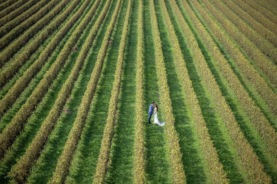 Fotografo Valpolicella