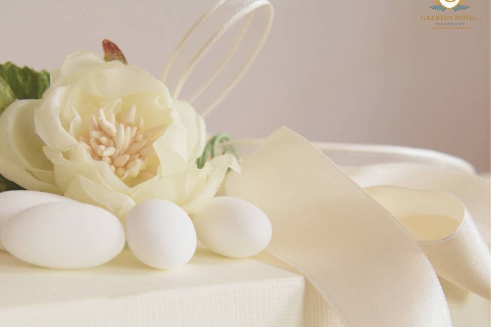 Hotel Gaarten Wedding Party